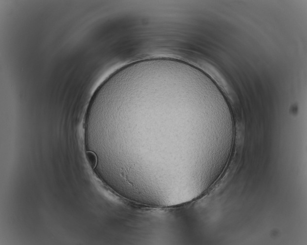 X0000094790814200711241400