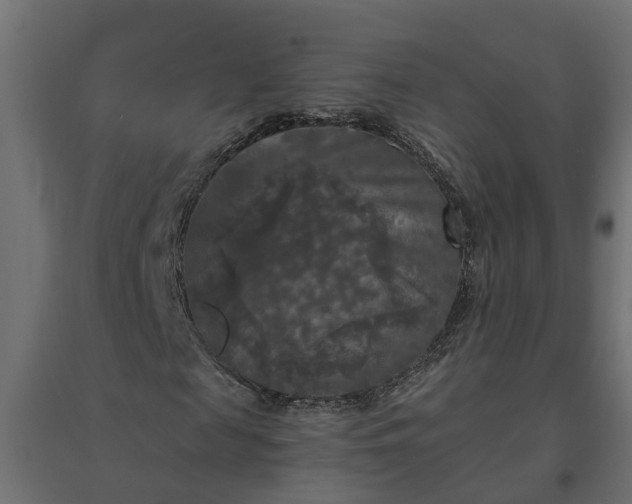 X0000094790817200711241359