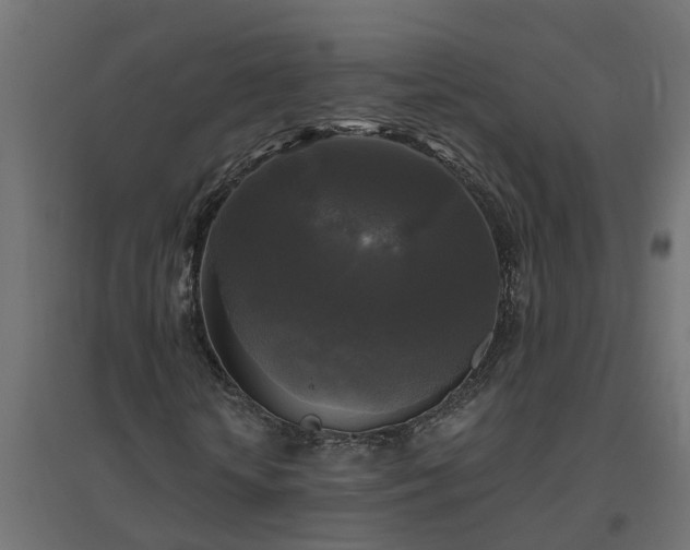 X0000094790818200711241359