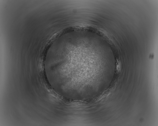 X0000094790819200711241359