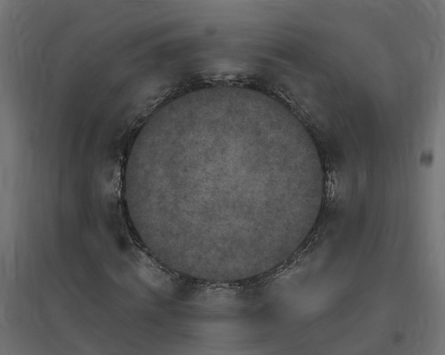 X0000094790820200711241359