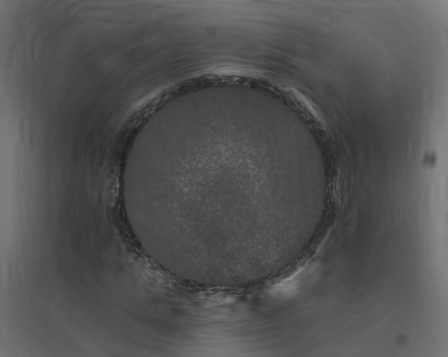 X0000094790821200711241400