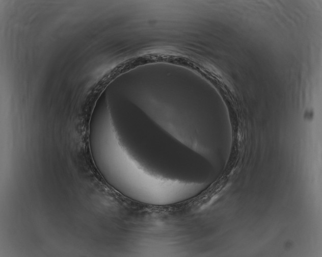 X0000094790822200711241400