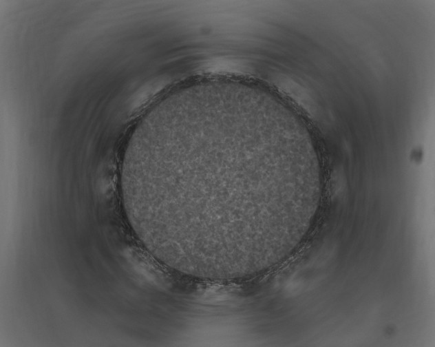 X0000094790824200711241400