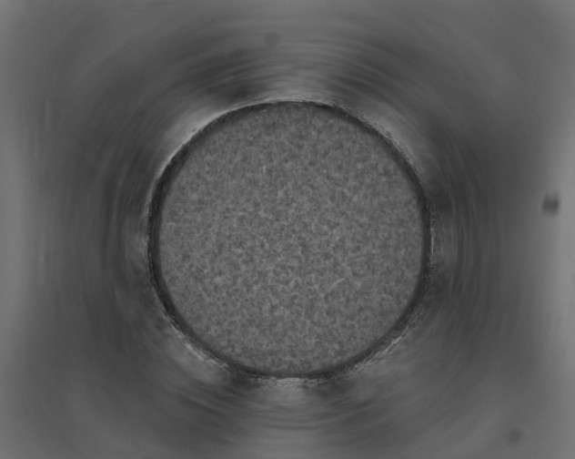 X0000094790828200711241400