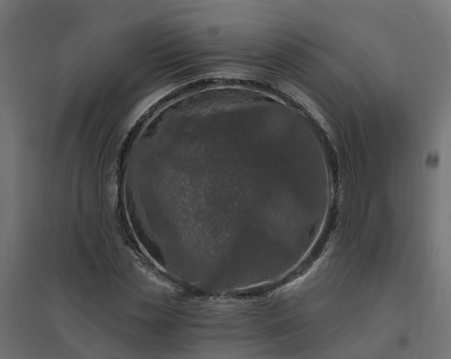 X0000094790829200711241400