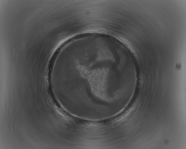 X0000094790830200711241400