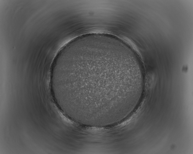 X0000094790831200711241400