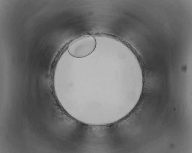 X0000094790832200711241400