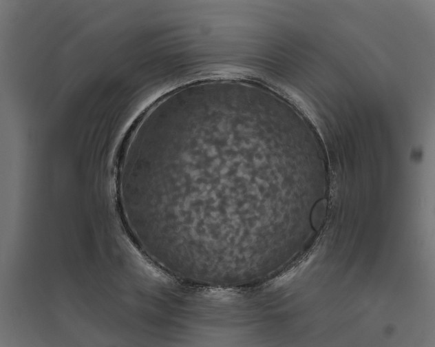 X0000094790835200711241400