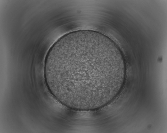 X0000094790836200711241400