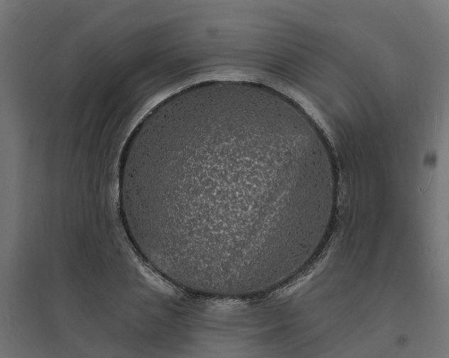 X0000094790837200711241400