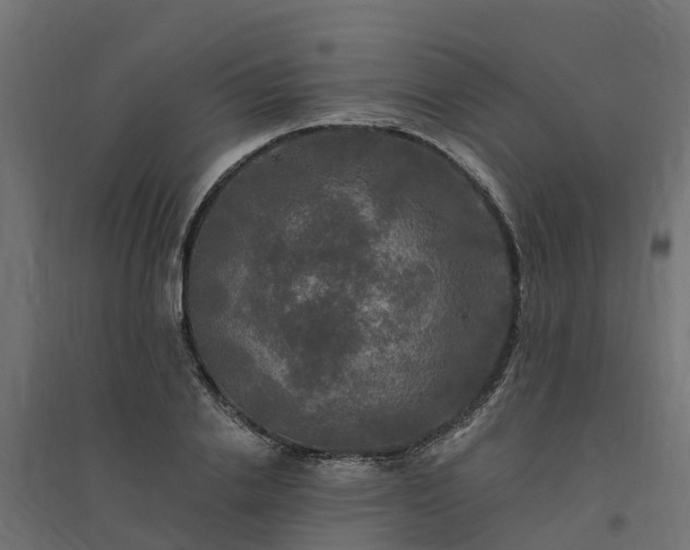 X0000094790838200711241400