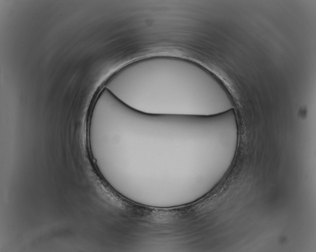 X0000094790840200711241400