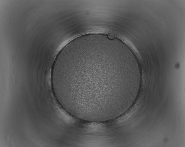 X0000094790842200711241400