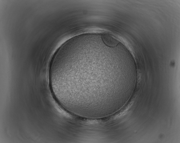 X0000094790843200711241400