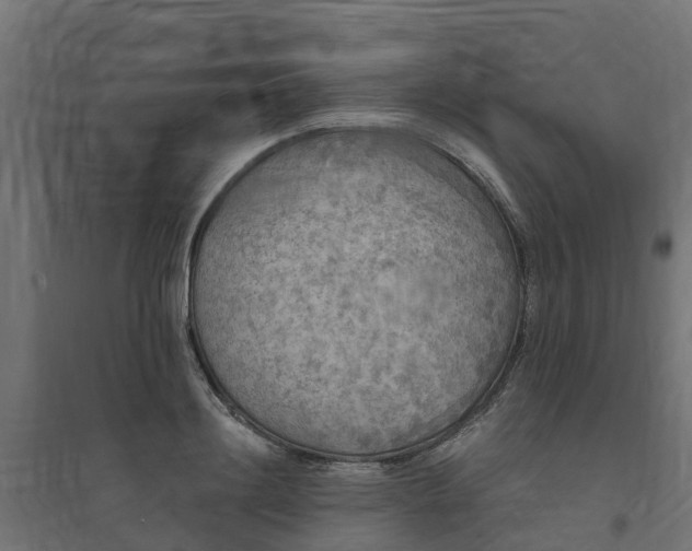 X0000094790844200711241400