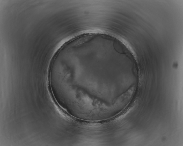 X0000094790845200711241400