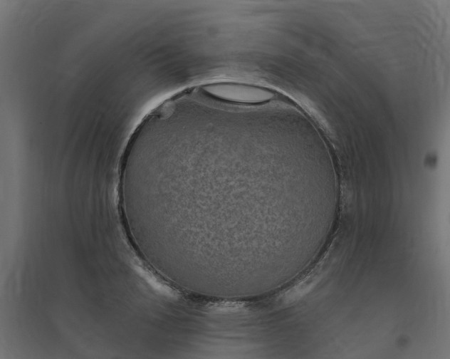 X0000094790846200711241400