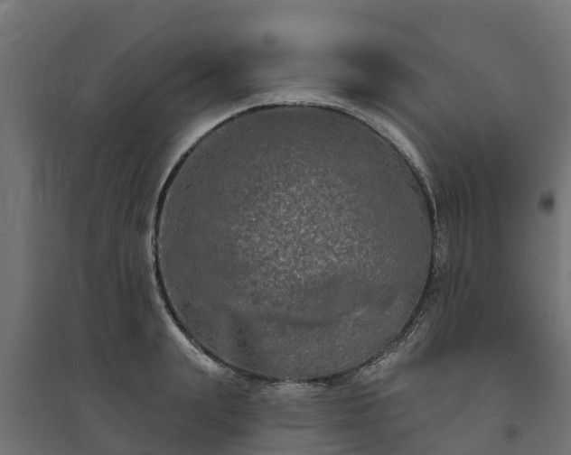 X0000094790847200711241400