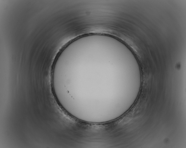 X0000094790848200711241400