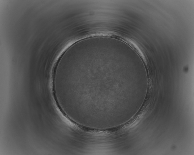 X0000094790851200711241400