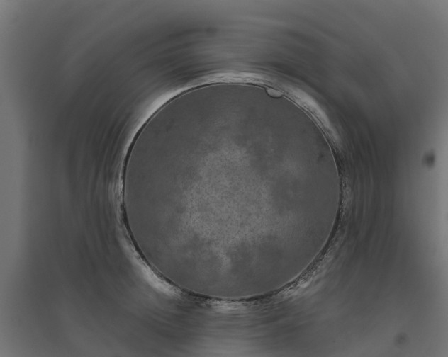 X0000094790852200711241400