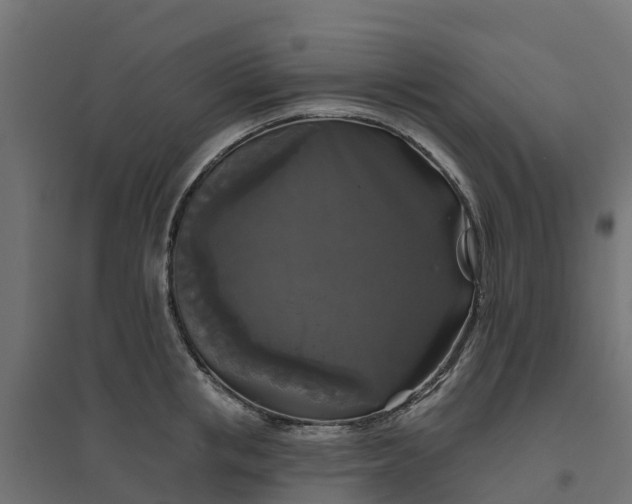 X0000094790853200711241400