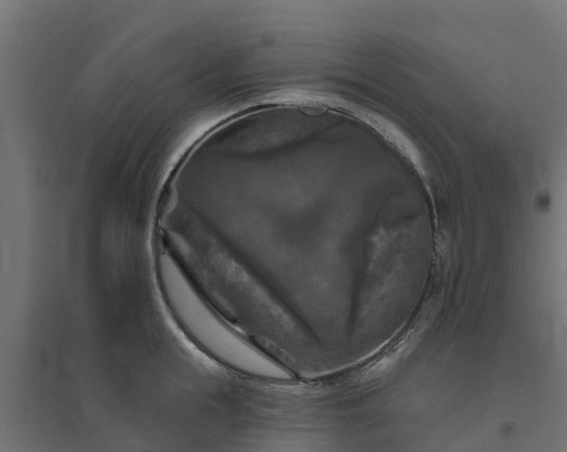 X0000094790855200711241400