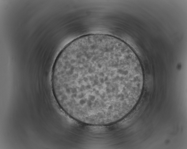 X0000094790856200711241400