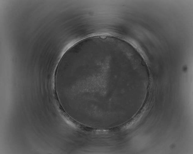 X0000094790858200711241400