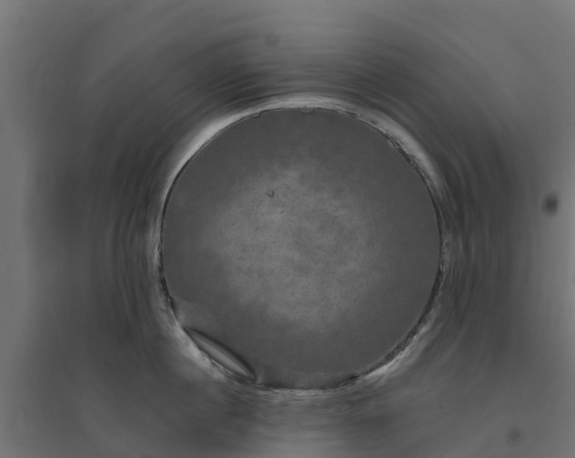 X0000094790860200711241400