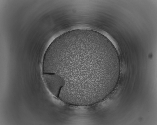 X0000094790861200711241400