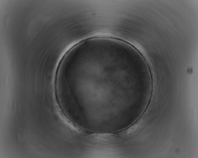 X0000094790864200711241400