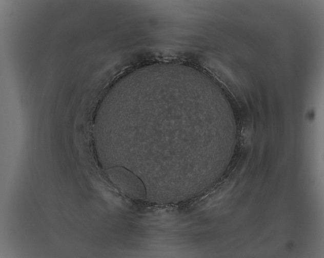 X0000094790865200711241359