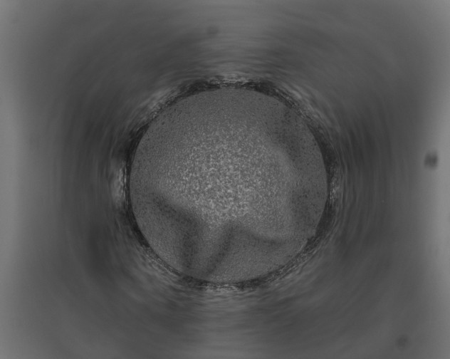 X0000094790866200711241359