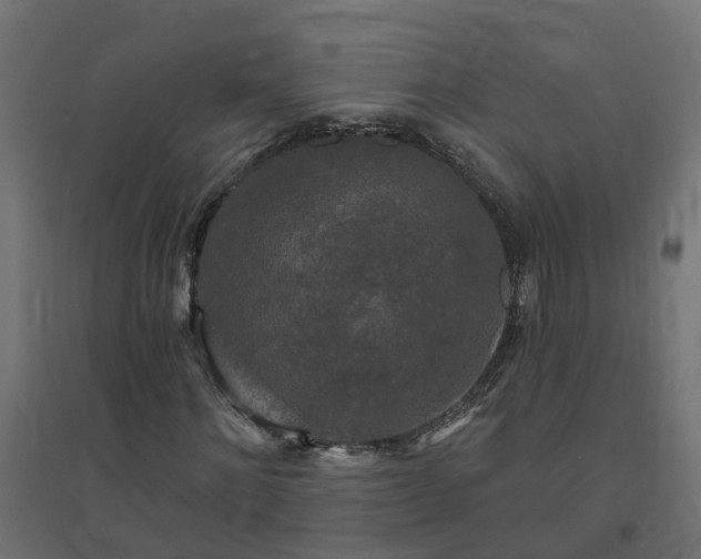 X0000094790868200711241359