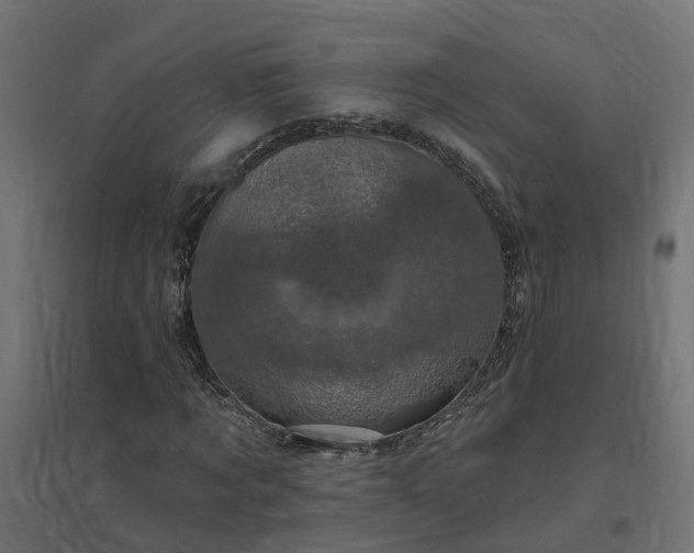 X0000094790869200711241359