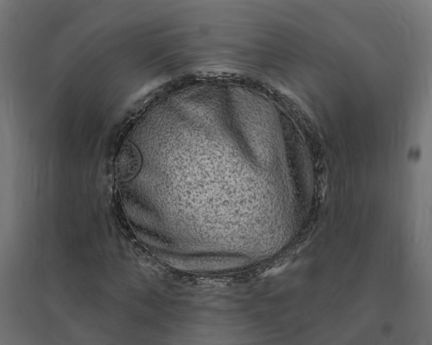 X0000094790870200711241359