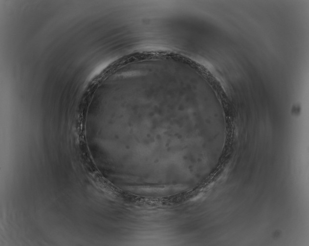 X0000094790871200711241359