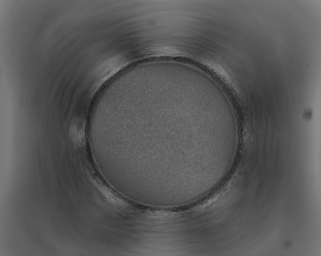 X0000094790873200711241359