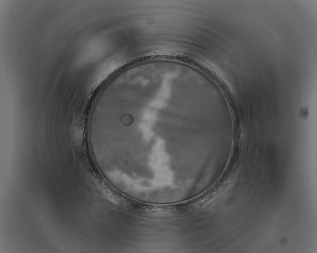 X0000094790874200711241359