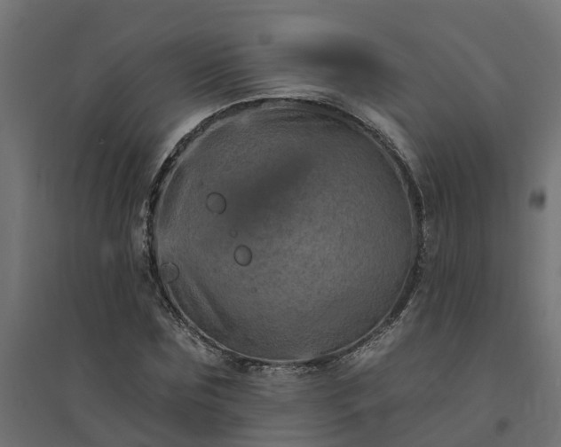 X0000094790875200711241359