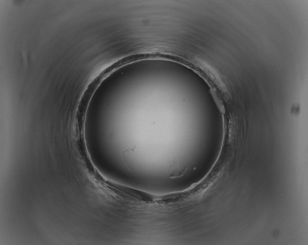 X0000094790876200711241359