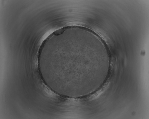 X0000094790877200711241359