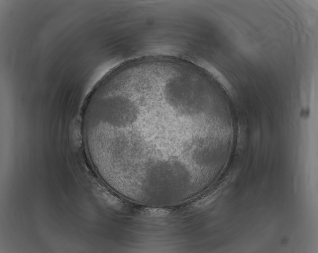 X0000094790878200711241359