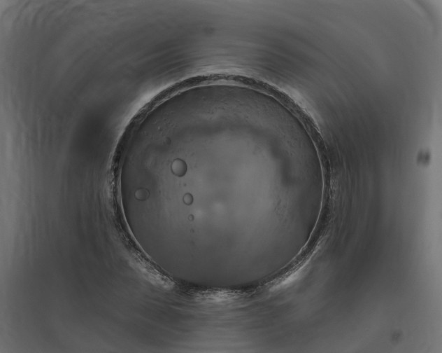 X0000094790879200711241359