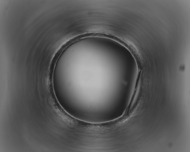 X0000094790880200711241359