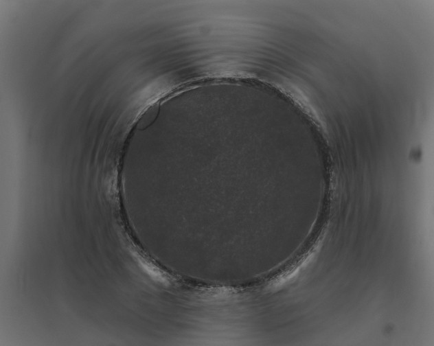 X0000094790881200711241359