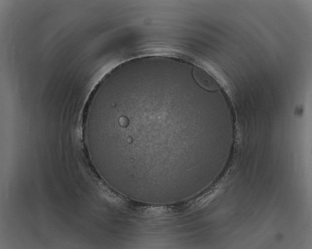 X0000094790883200711241359